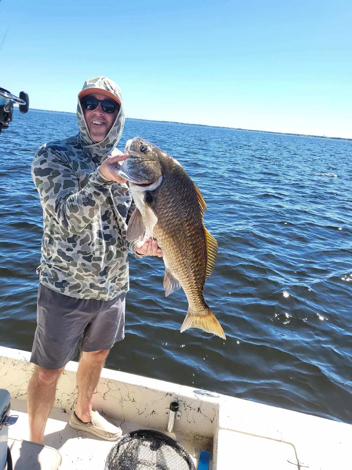 Angler in camo holding large black drum on the bay