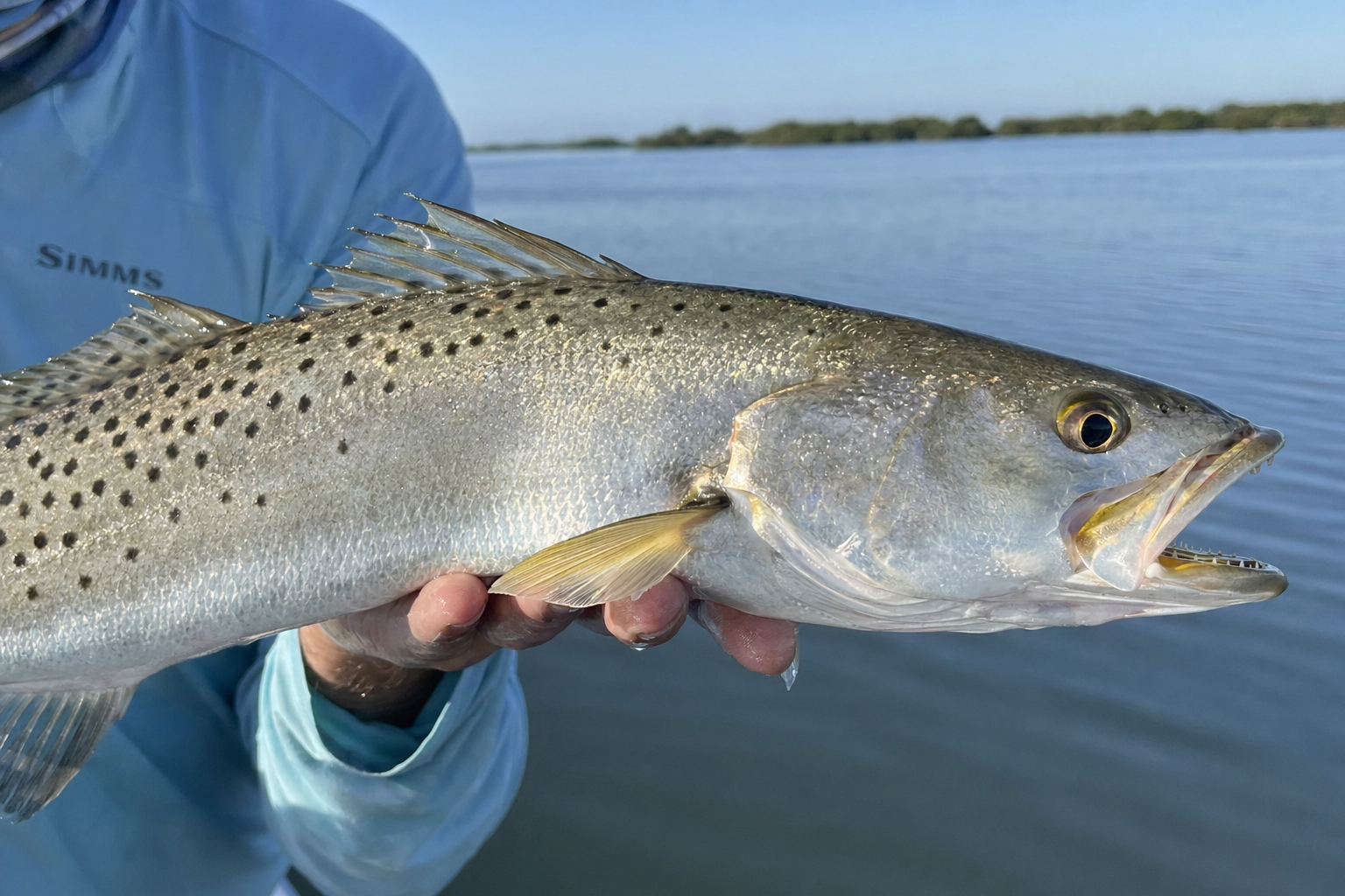 Speckled Trout caught in Choctawhatchee Bay, Florida