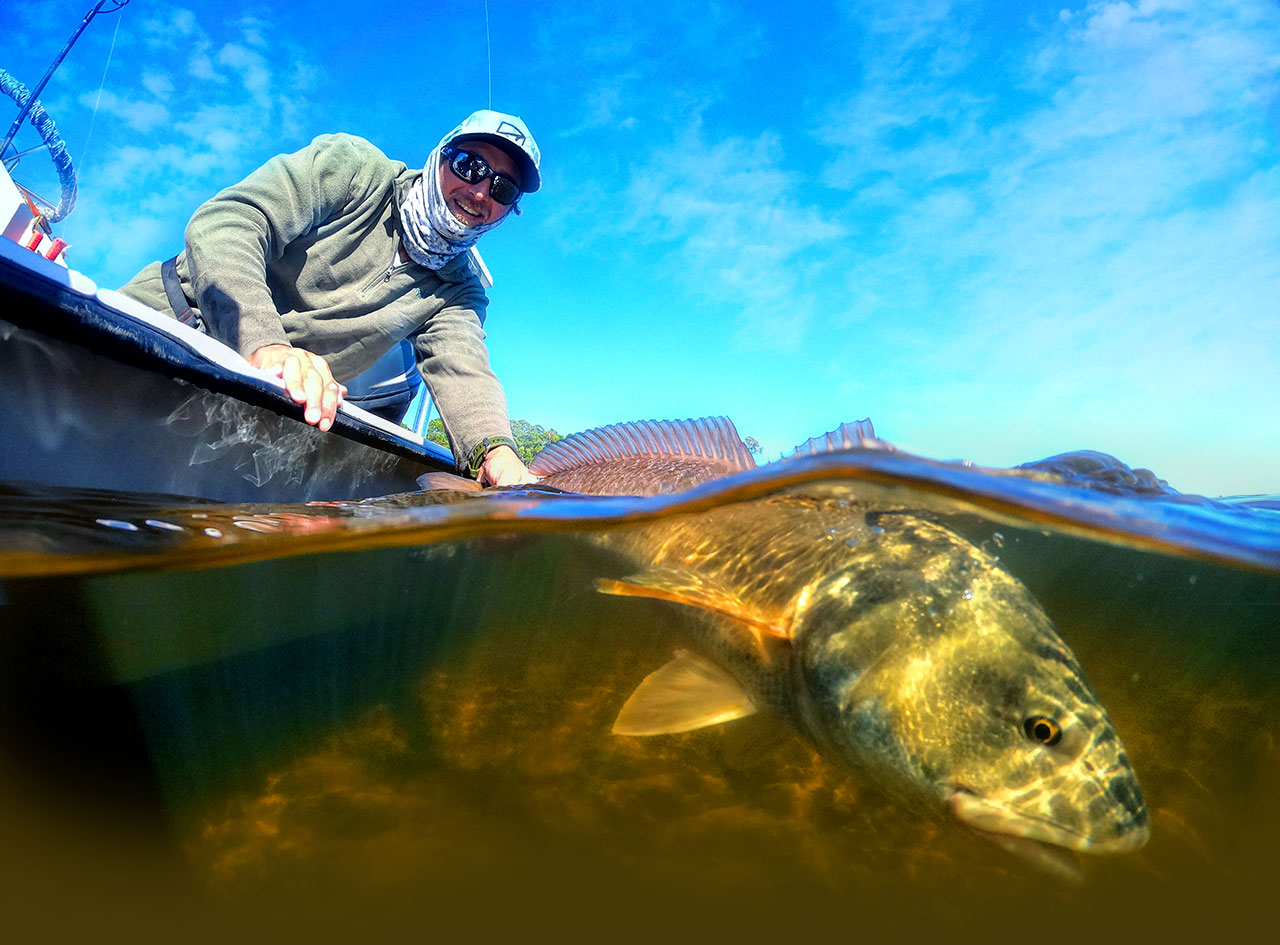 Person in boat releasing a fish partly underwater, sky overhead.