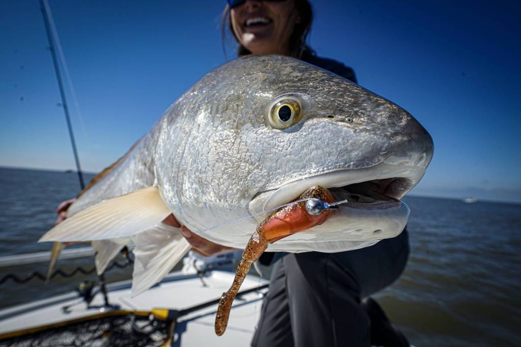 June 2026 Fishing Report